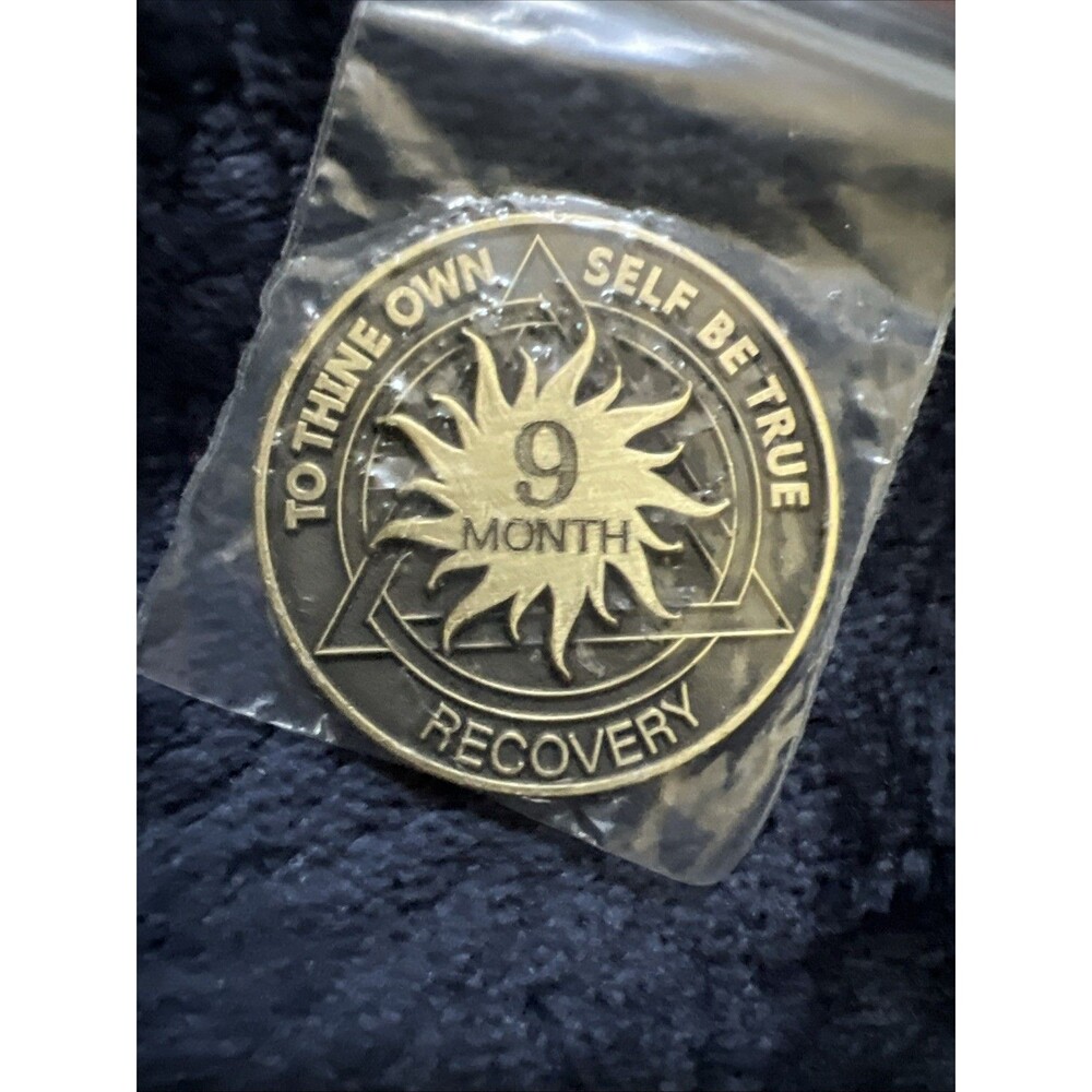 9 Month AA Bronze Sun Serenity Prayer Coin Chip Recovery Anniversary Token NA